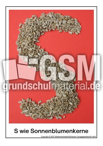 S-wie-Sonnenblumenkerne.pdf